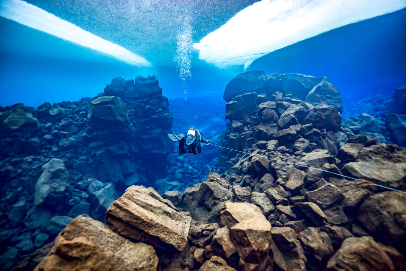 Illustration for article titled Las mejores fotos submarinas de 2018 son una ventana a una dimensión paralela oculta bajo el agua